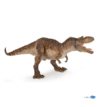 gorgosaurus (1)