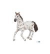 jument-appaloosa-brune