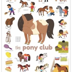 mini poster stickers poney poppik