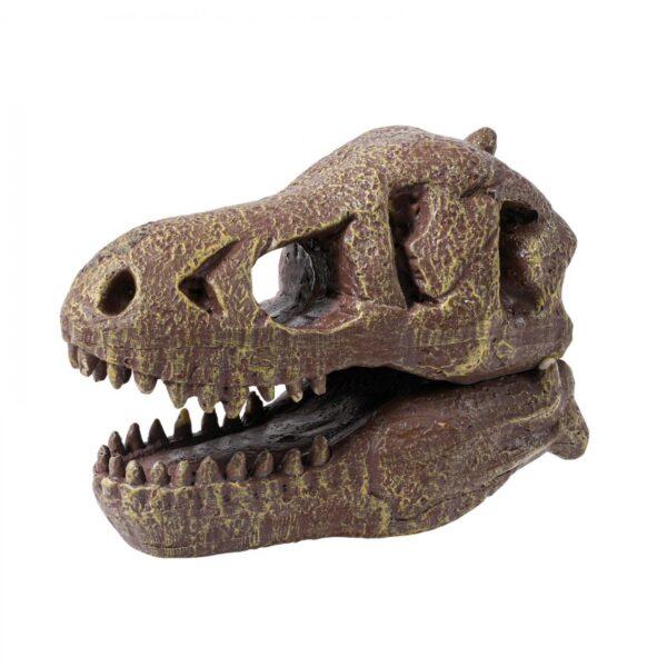 museum-skull-t-rex-tyrannosaure