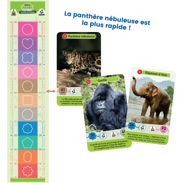defis nature : mystère de la jungle