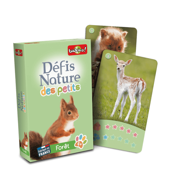 defis-nature-des-petits-foret1