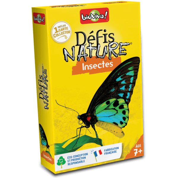 defis-nature-insectes