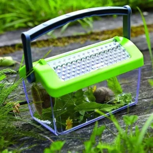 boite-a-insectes-haba (1)