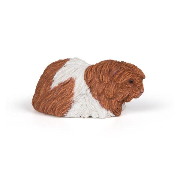 COCHON D'INDE - PAPO