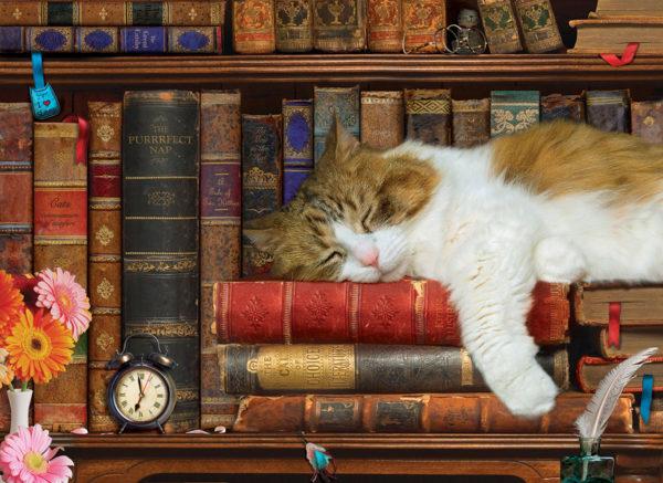LA SIESTE DU CHAT 500 PIECES - EUROGRAPHICS PUZZLE