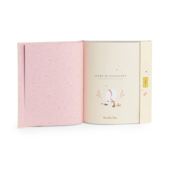LIVRE DE NAISSANCE " LA PETITE ECOLE DE DANSE " - MOULIN ROTY
