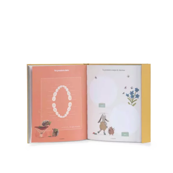 LIVRE DE NAISSANCE " TROIS PETITS LAPINS " - MOULIN ROTY