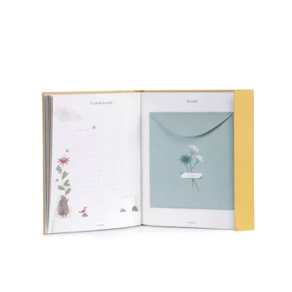 LIVRE DE NAISSANCE " TROIS PETITS LAPINS " - MOULIN ROTY