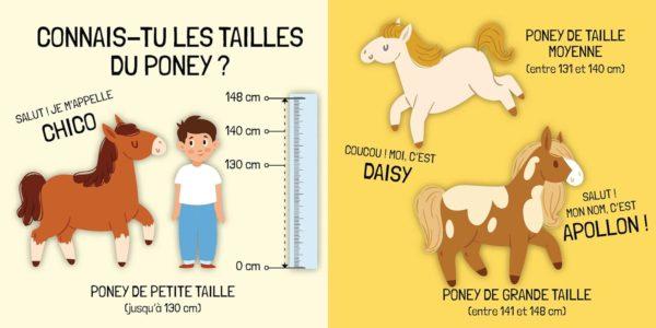 Q BOX LE MONDE DES PONEYS - SASSI