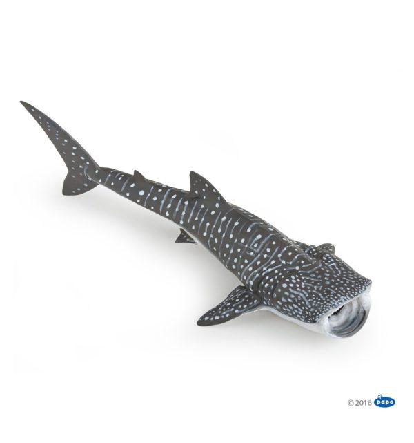 REQUIN BALEINE PAPO