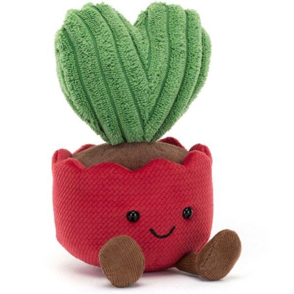 KERRII CACTUS