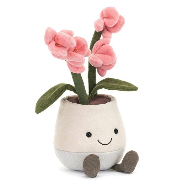 ORCHIDEE ROSE