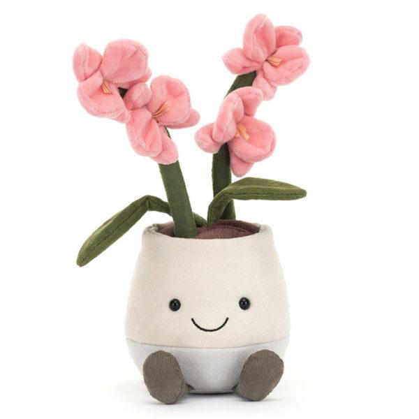ORCHIDEE ROSE – Image 2