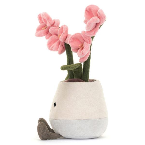 ORCHIDEE ROSE – Image 3
