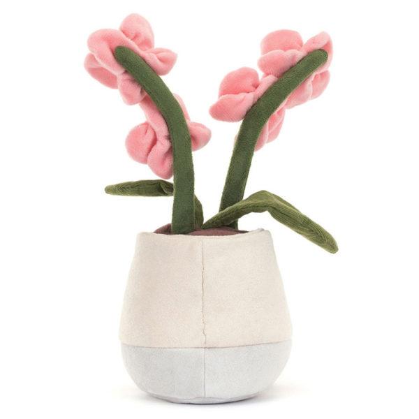 ORCHIDEE ROSE – Image 4