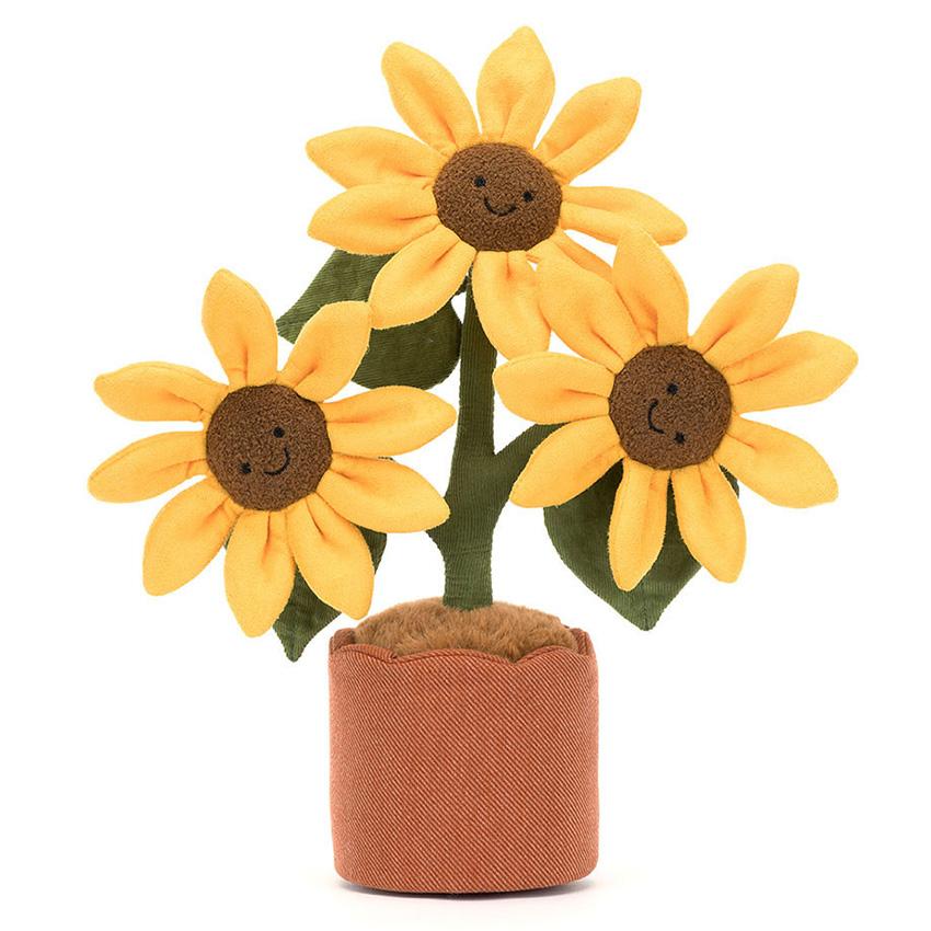 tournesol2