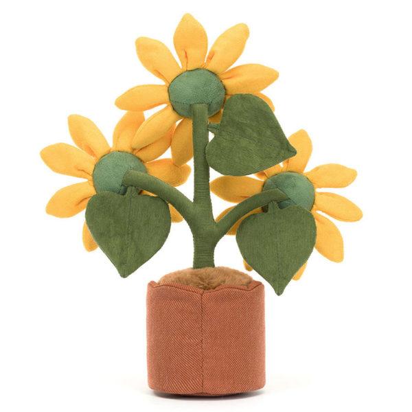 TOURNESOL – Image 4